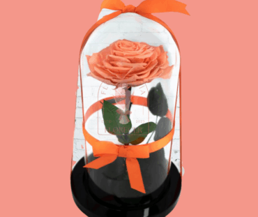 Rosas preservadas e inmortalizadas en cali Floristerias en cali (2)