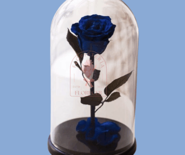 Rosas preservadas e inmortalizadas en cali Floristerias en cali (4)