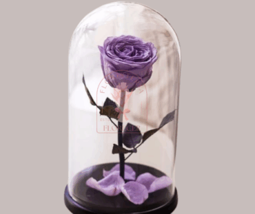 Rosas preservadas e inmortalizadas en cali Floristerias en cali (6)