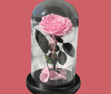 Rosas preservadas e inmortalizadas en cali Floristerias en cali (7)
